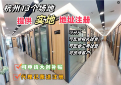 主城區(qū)實(shí)地地址注冊+納稅申報+執(zhí)照辦理、注冊+退稅